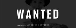 Wanted: Auditing Services