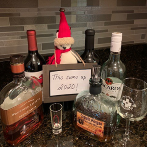 Stuffed owl surrounded by bottles of alcohol holding sign "This sums up 2020!"
