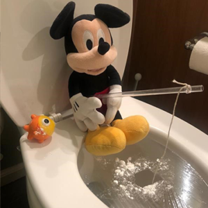 Mickey Mouse doll fishing in toilet