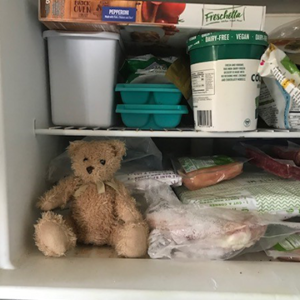 Teddy bear in freezer