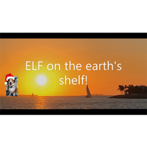 Corgi wearing Santa hat sitting by the ocean, "Elf on the earth's shelf"