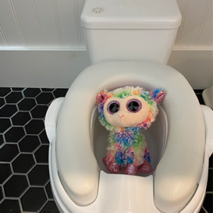 Stuffed animal in small toilet