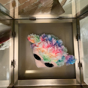 Stuffed animal in glass box